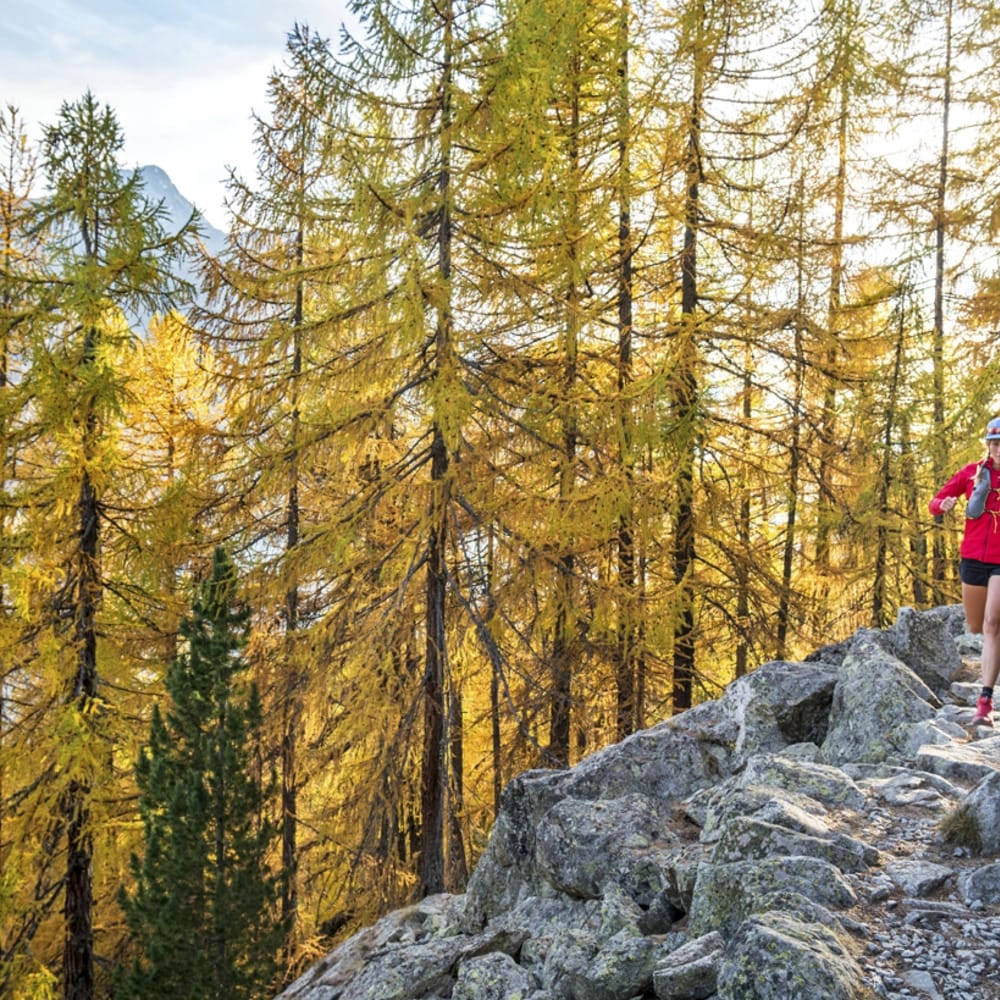 Trailrunning Sils Herbst