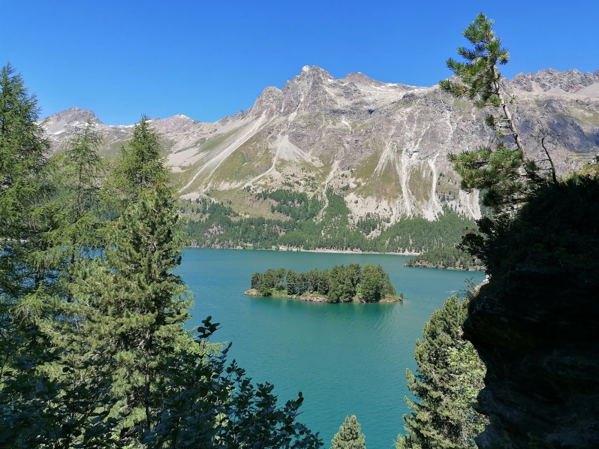 Sils - Maloja - Lägh da Cavloc - Sils