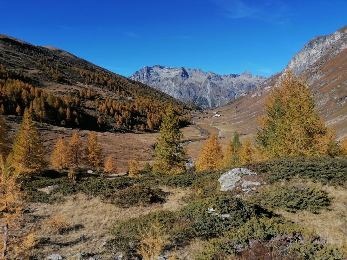 Sils-Val Fex-Plaun Vadret - Sils (E-Mountainbike)