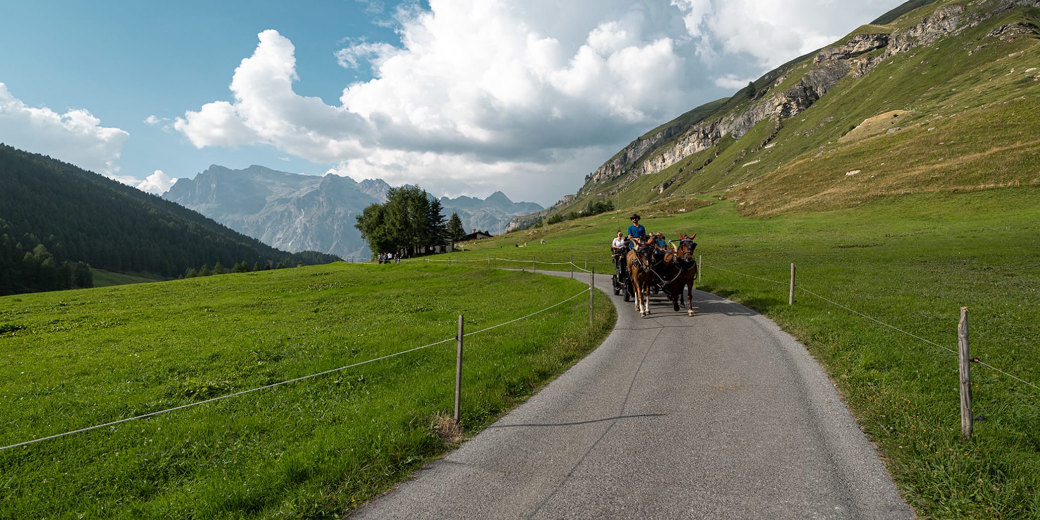 Kutschenfahrten im Sommer & Herbst