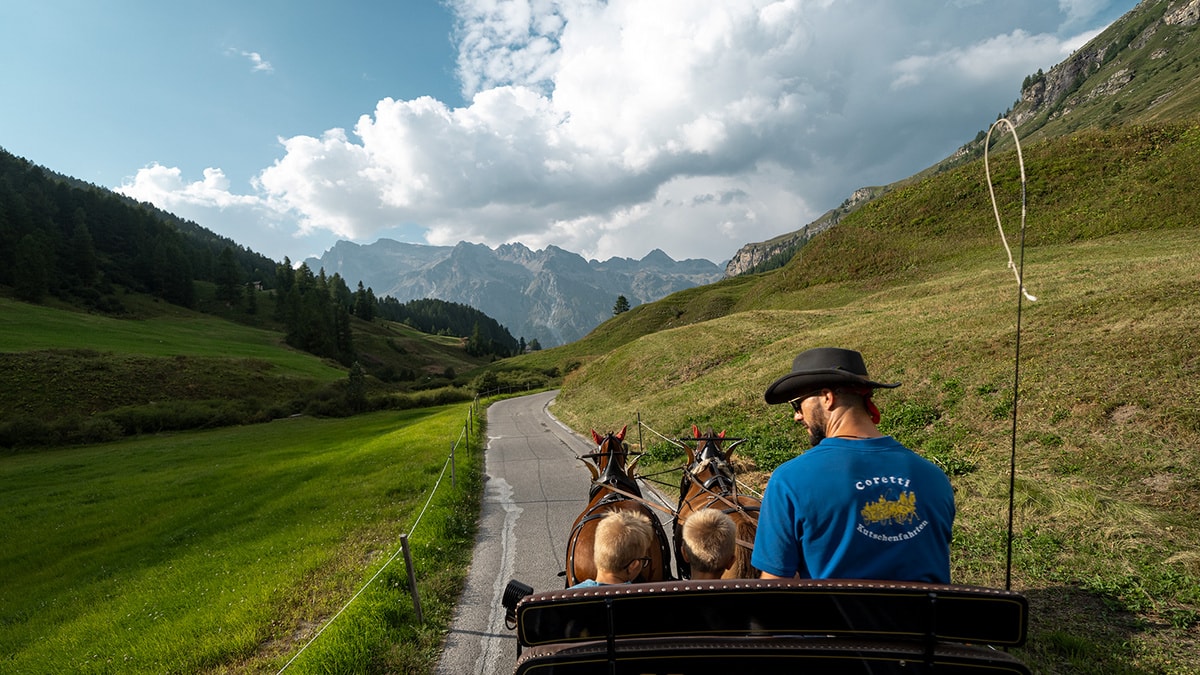 Kutschfahrt Sommer