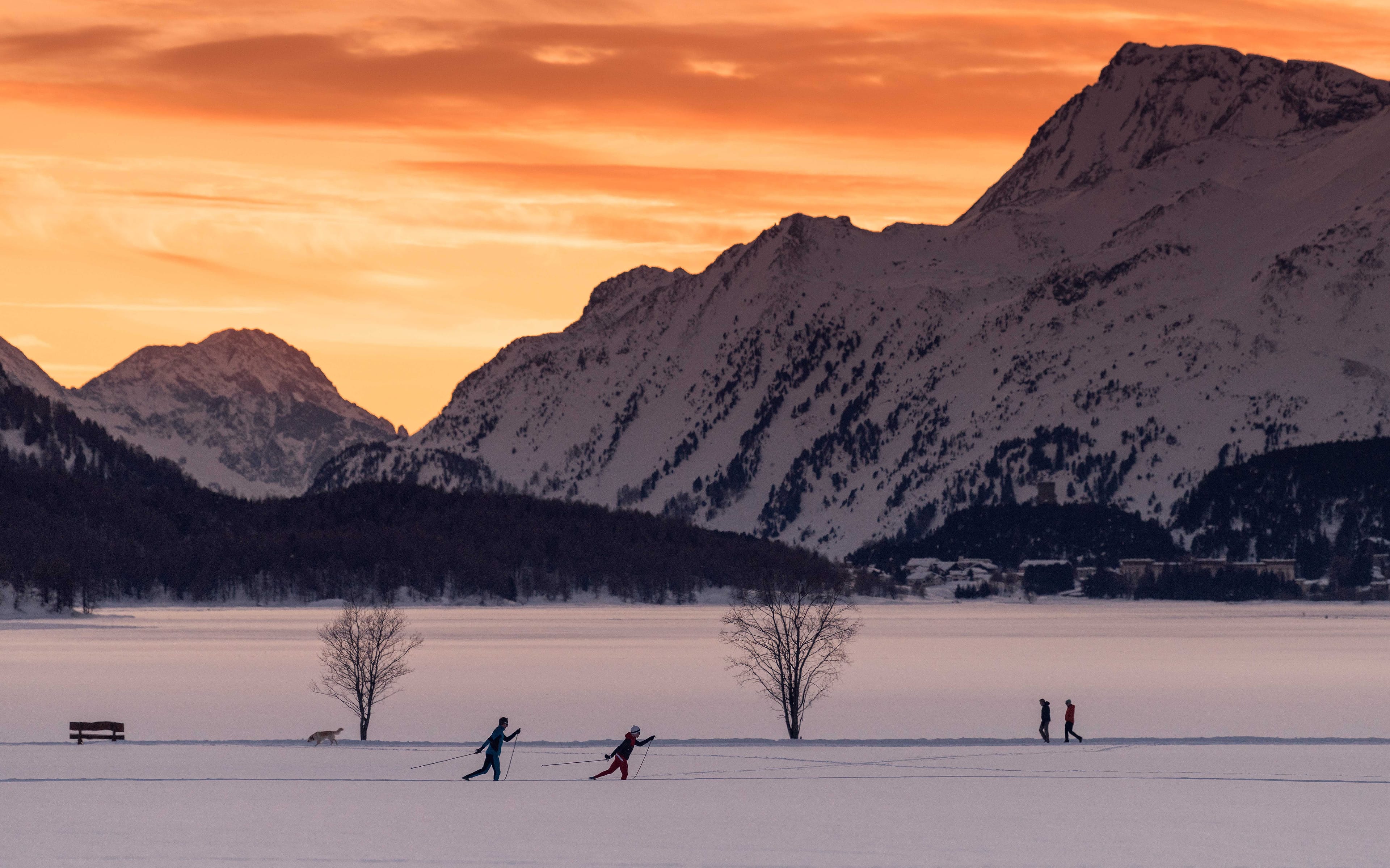 Langlaufen um Sils