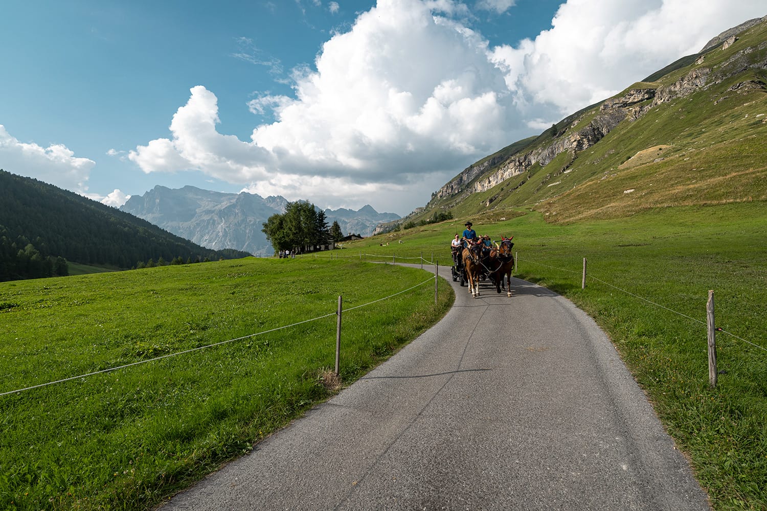 Copyright Sils Tourismus_Fotograf Filip Zuan