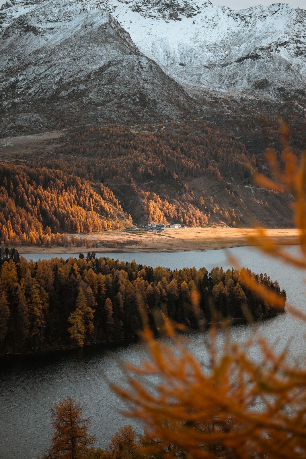 Sils – Halbinsel Chastè – Sils