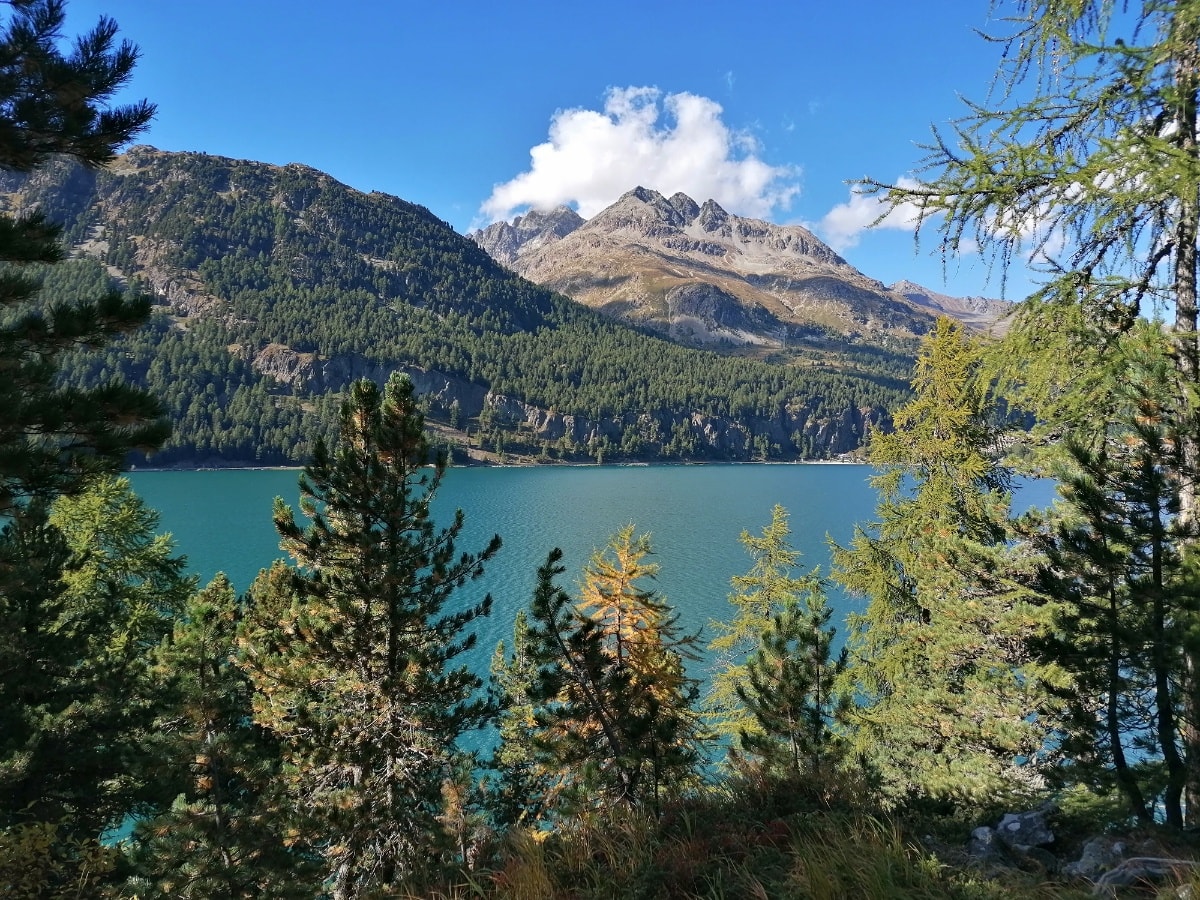 Sils - Surlej - Lej Marsch - Sils